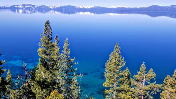 Tahoe Guided Hiking Tours