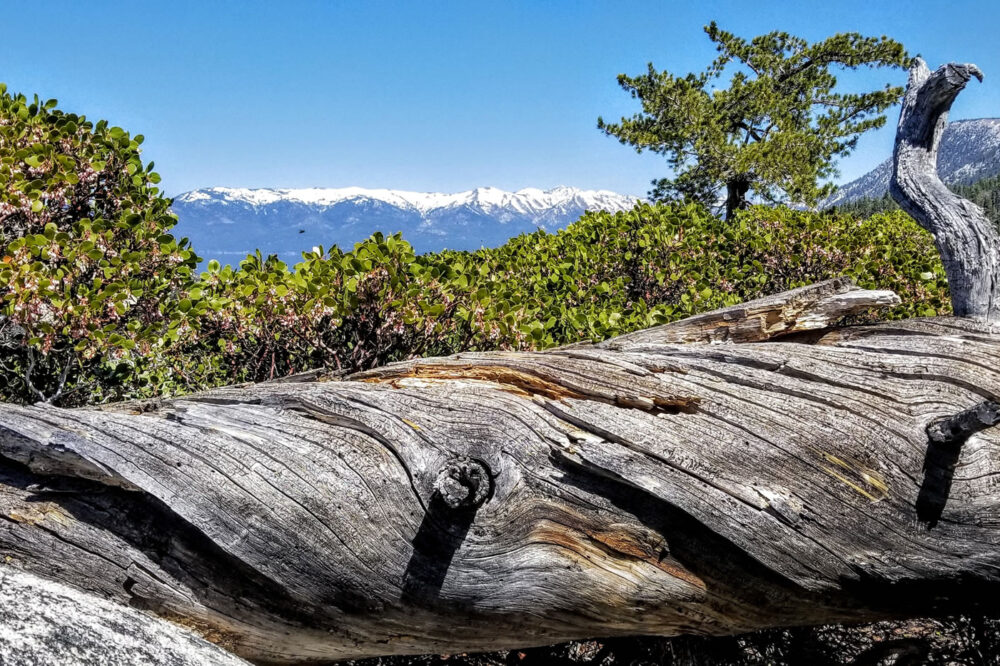 Tahoe Guided Hiking Tours