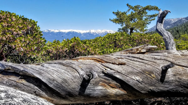 Tahoe Guided Hiking Tours