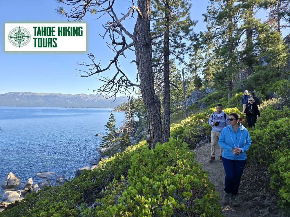 Breathe in the crisp mountain air as you explore secluded alpine trails with sweeping Lake Tahoe vistas. Our private guided hikes blend world-class naturalist interpretation, unforgettable wildlife encounters, and professional photography—crafted for travelers who expect the extraordinary.